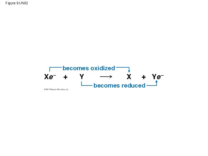 Figure 9. UN 02 becomes oxidized becomes reduced 
