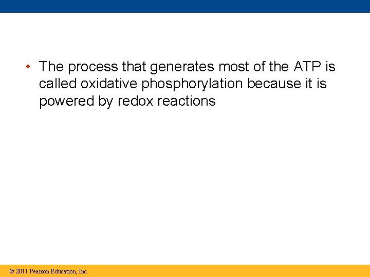 • The process that generates most of the ATP is called oxidative phosphorylation