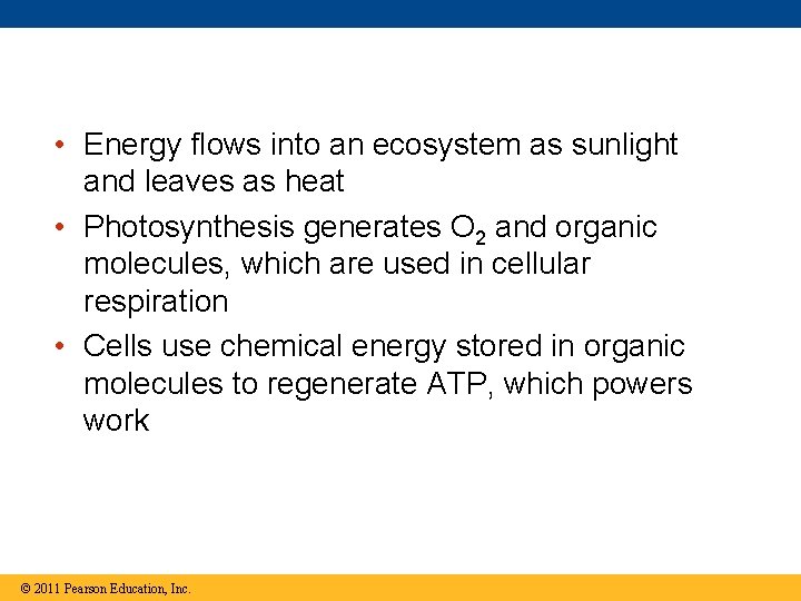  • Energy flows into an ecosystem as sunlight and leaves as heat •