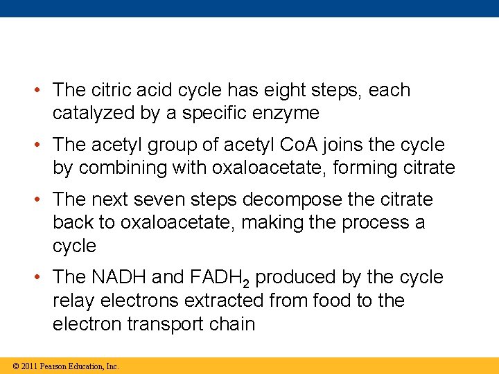 • The citric acid cycle has eight steps, each catalyzed by a specific
