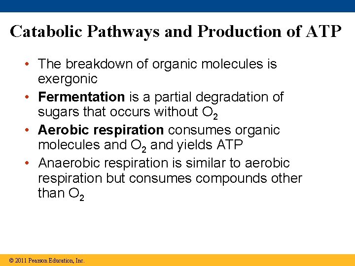 Catabolic Pathways and Production of ATP • The breakdown of organic molecules is exergonic