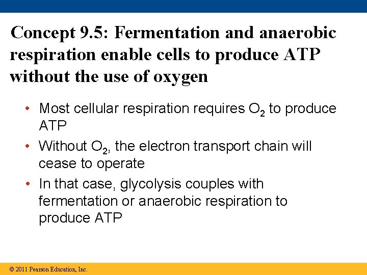Concept 9. 5: Fermentation and anaerobic respiration enable cells to produce ATP without the