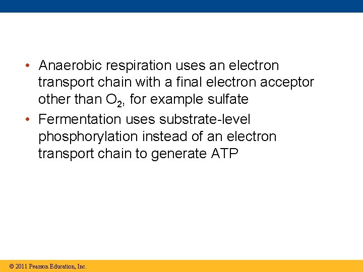  • Anaerobic respiration uses an electron transport chain with a final electron acceptor