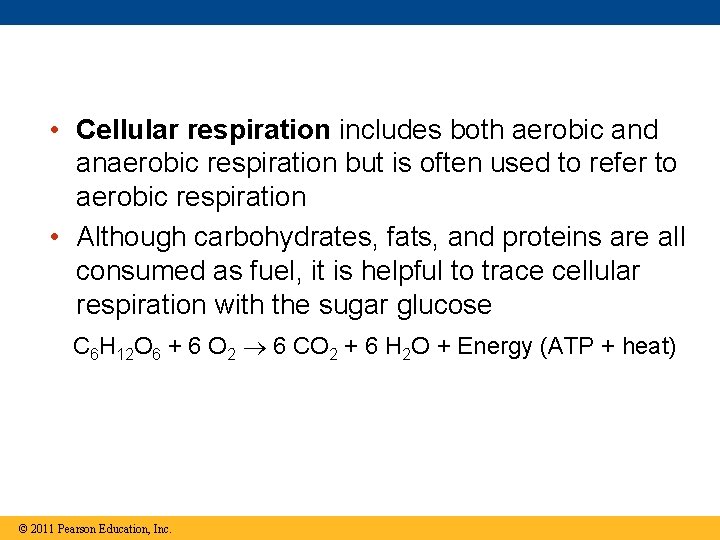  • Cellular respiration includes both aerobic and anaerobic respiration but is often used