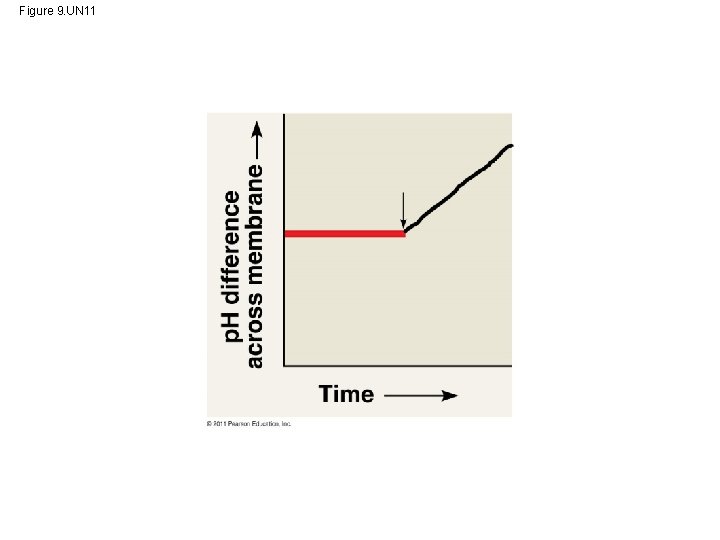 Figure 9. UN 11 