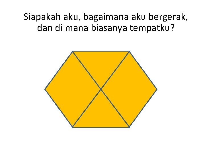 Siapakah aku, bagaimana aku bergerak, dan di mana biasanya tempatku? 