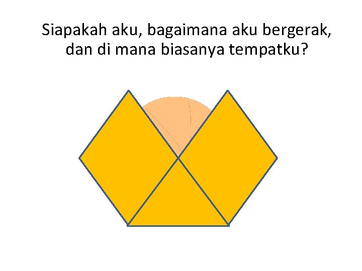 Siapakah aku, bagaimana aku bergerak, dan di mana biasanya tempatku? 