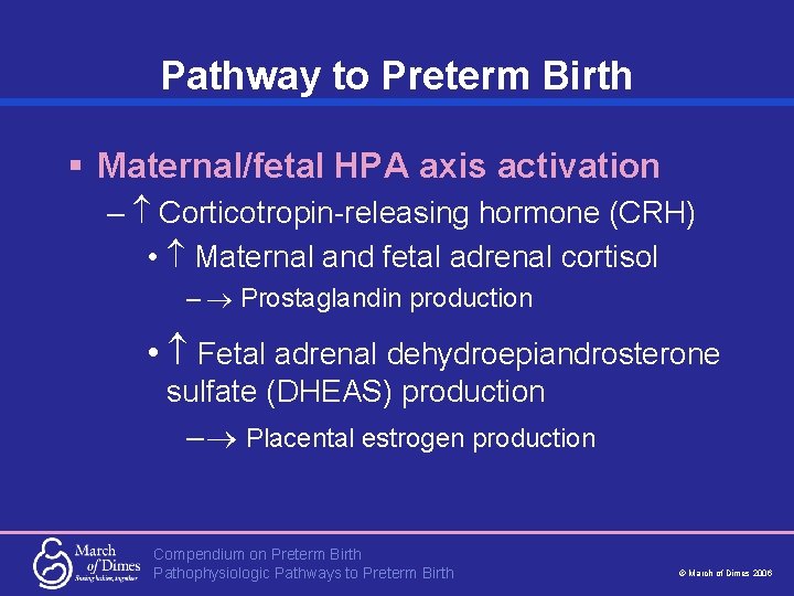 Pathway to Preterm Birth § Maternal/fetal HPA axis activation – Corticotropin-releasing hormone (CRH) •