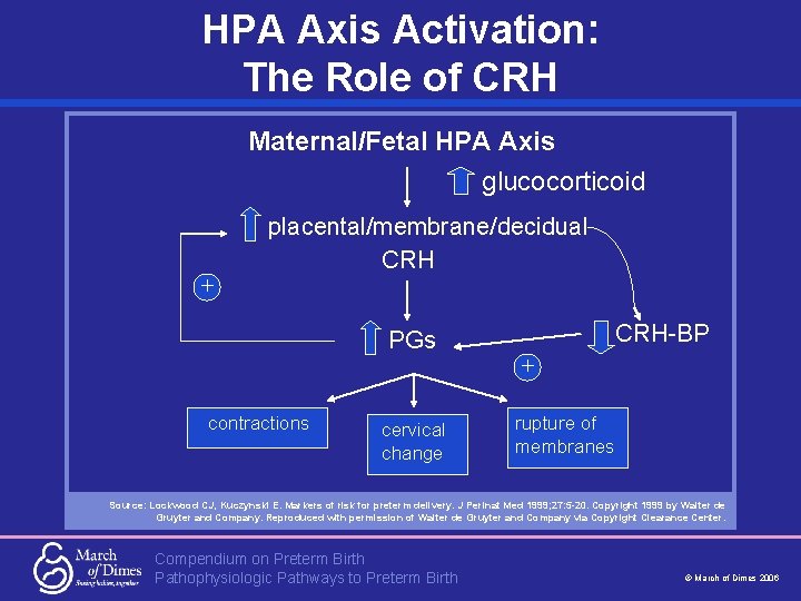 HPA Axis Activation: The Role of CRH Maternal/Fetal HPA Axis glucocorticoid + placental/membrane/decidual CRH