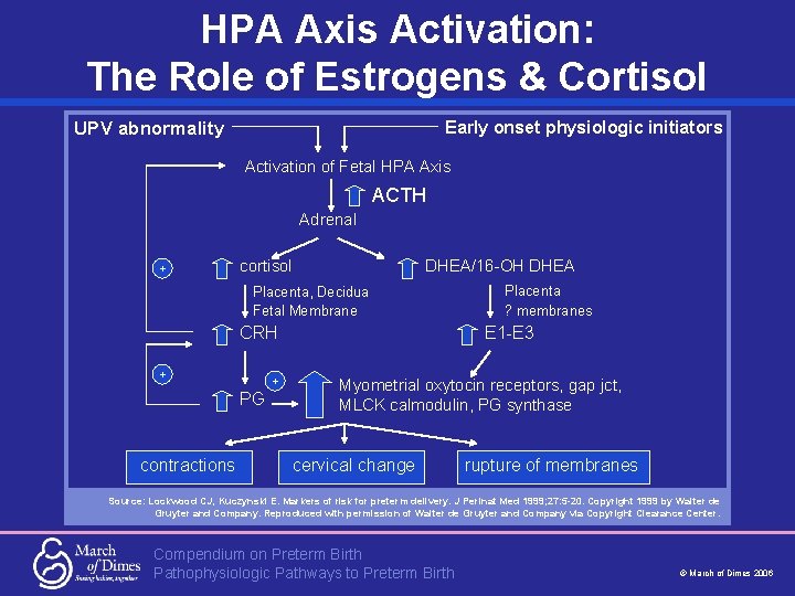 HPA Axis Activation: The Role of Estrogens & Cortisol Early onset physiologic initiators UPV