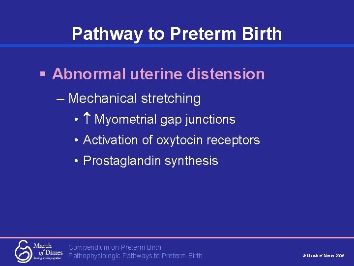 Pathway to Preterm Birth § Abnormal uterine distension – Mechanical stretching • Myometrial gap