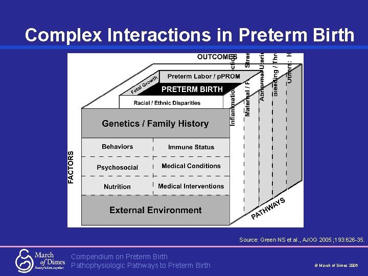 Complex Interactions in Preterm Birth Source: Green NS et al. , AJOG 2005 ;