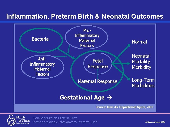 Inflammation, Preterm Birth & Neonatal Outcomes Bacteria Anti. Inflammatory Maternal Factors Pro. Inflammatory Maternal