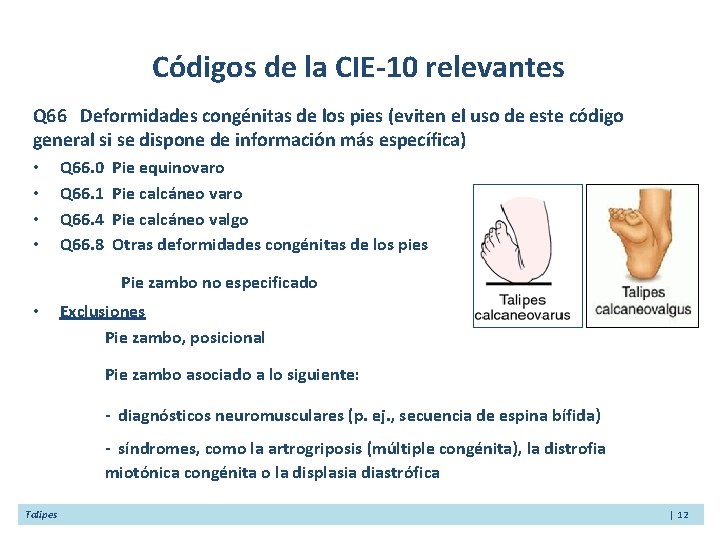 Códigos de la CIE-10 relevantes Q 66 Deformidades congénitas de los pies (eviten el