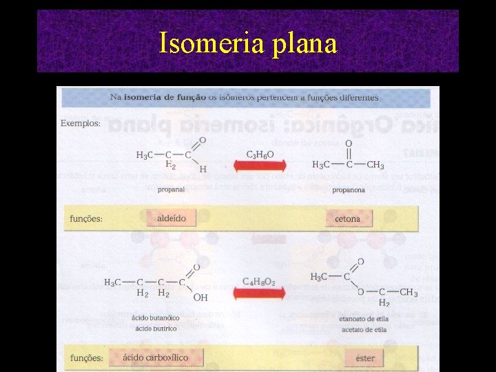 Isomeria plana 