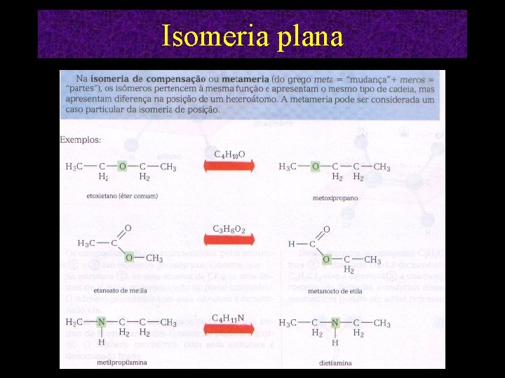 Isomeria plana 