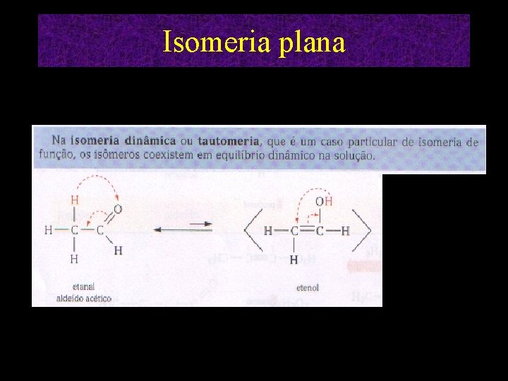 Isomeria plana 