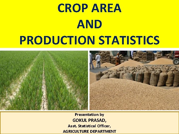 CROP AREA AND PRODUCTION STATISTICS Presentation by GOKUL PRASAD, Asst. Statistical Officer, AGRICULTURE DEPARTMENT