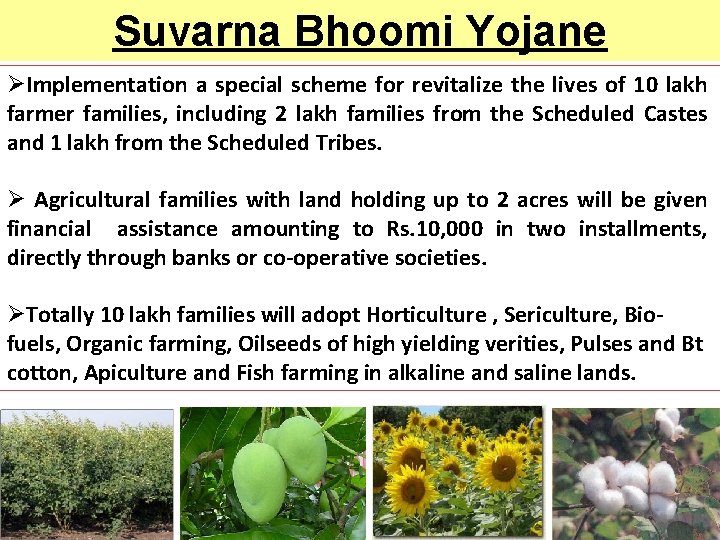 Suvarna Bhoomi Yojane ØImplementation a special scheme for revitalize the lives of 10 lakh