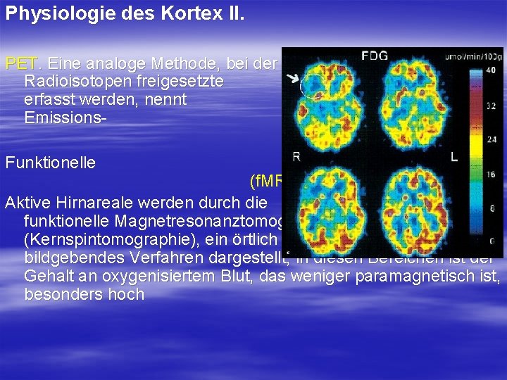 Physiologie des Kortex II. PET. Eine analoge Methode, bei der Radioisotopen freigesetzte erfasst werden,