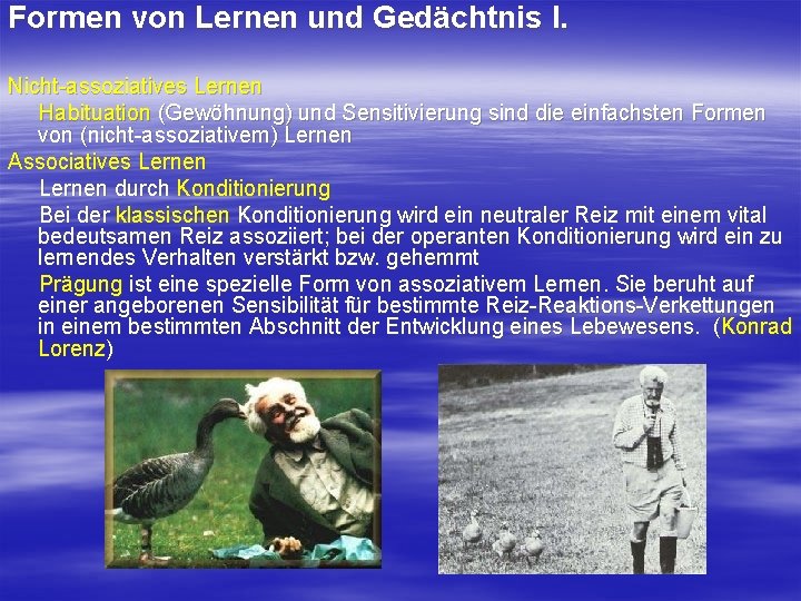 Formen von Lernen und Gedächtnis I. Nicht assoziatives Lernen Habituation (Gewöhnung) und Sensitivierung sind