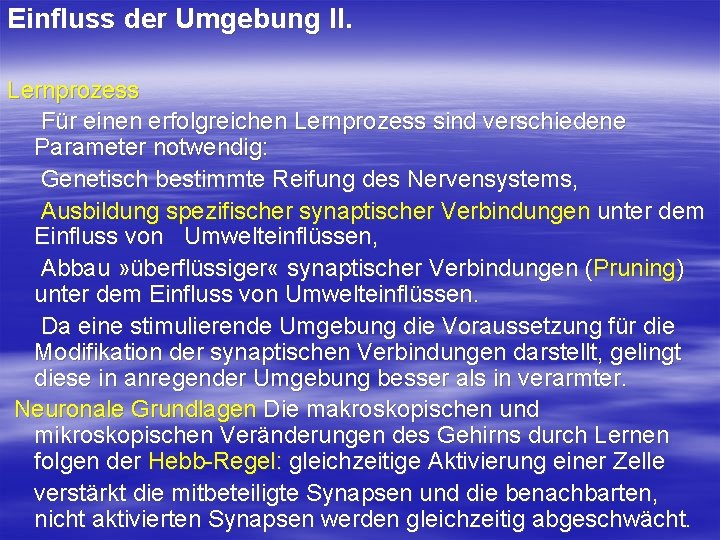 Einfluss der Umgebung II. Lernprozess Für einen erfolgreichen Lernprozess sind verschiedene Parameter notwendig: Genetisch