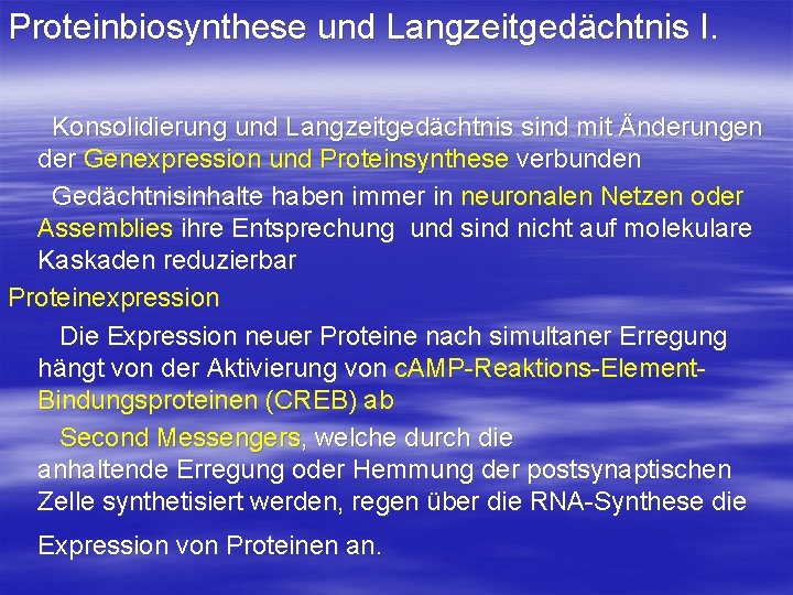 Proteinbiosynthese und Langzeitgedächtnis I. Konsolidierung und Langzeitgedächtnis sind mit Änderungen der Genexpression und Proteinsynthese