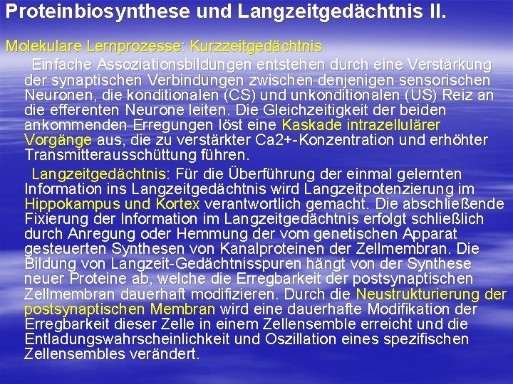 Proteinbiosynthese und Langzeitgedächtnis II. Molekulare Lernprozesse: Kurzzeitgedächtnis Einfache Assoziationsbildungen entstehen durch eine Verstärkung der