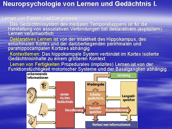 Neuropsychologie von Lernen und Gedächtnis I. Lernen von Fakten und Ereignissen Das Gedächtnissystem des