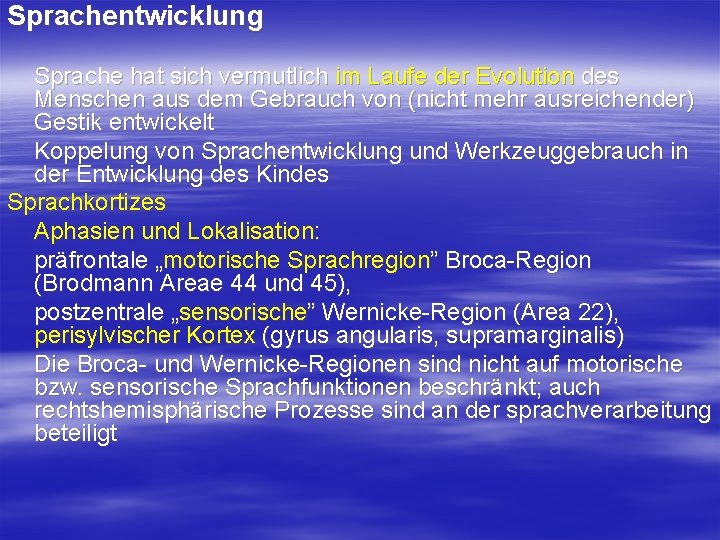 Sprachentwicklung Sprache hat sich vermutlich im Laufe der Evolution des Menschen aus dem Gebrauch