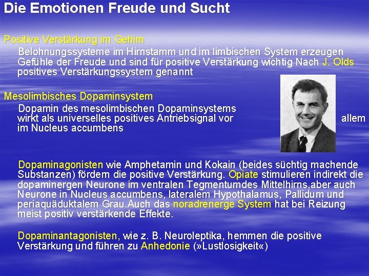 Die Emotionen Freude und Sucht Positive Verstärkung im Gehirn Belohnungssysteme im Hirnstamm und im