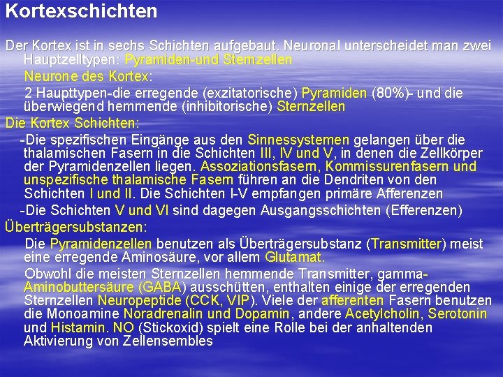 Kortexschichten Der Kortex ist in sechs Schichten aufgebaut. Neuronal unterscheidet man zwei Hauptzelltypen: Pyramiden