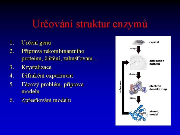 Určování struktur enzymů 1. 2. 3. 4. 5. 6. Určení genu Příprava rekombinantního proteinu,