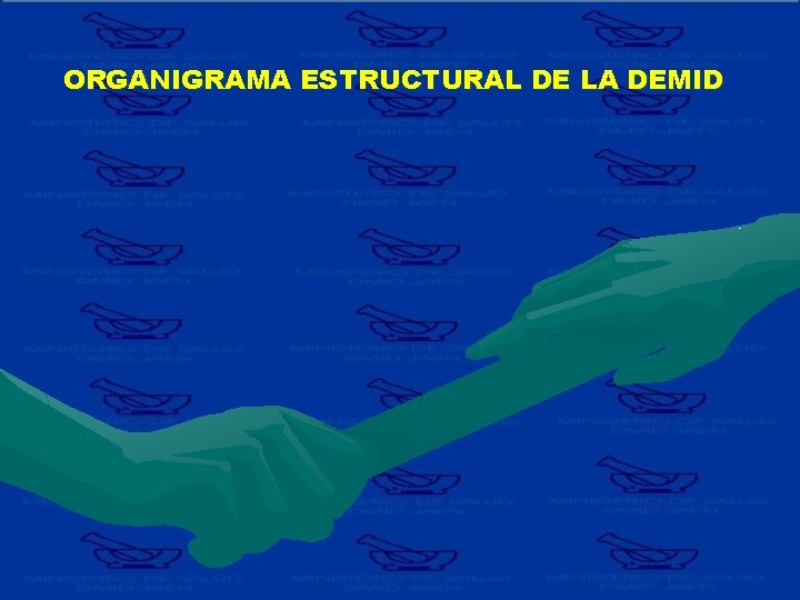 ORGANIGRAMA ESTRUCTURAL DE LA DEMID 