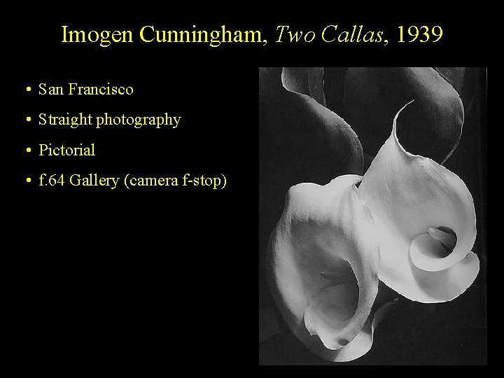 Imogen Cunningham, Two Callas, 1939 • San Francisco • Straight photography • Pictorial •