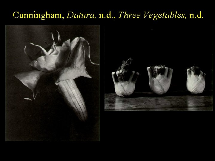 Cunningham, Datura, n. d. , Three Vegetables, n. d. 