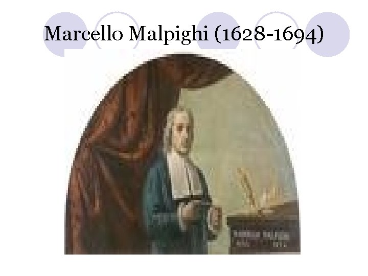 Marcello Malpighi (1628 -1694) 