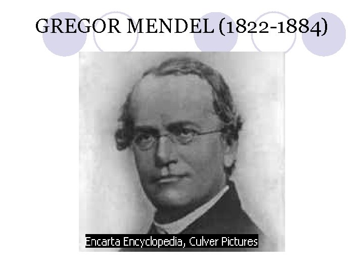 GREGOR MENDEL (1822 -1884) 