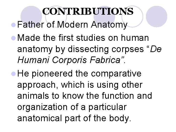 CONTRIBUTIONS l Father of Modern Anatomy l Made the first studies on human anatomy