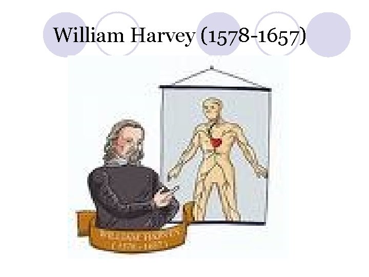 William Harvey (1578 -1657) 