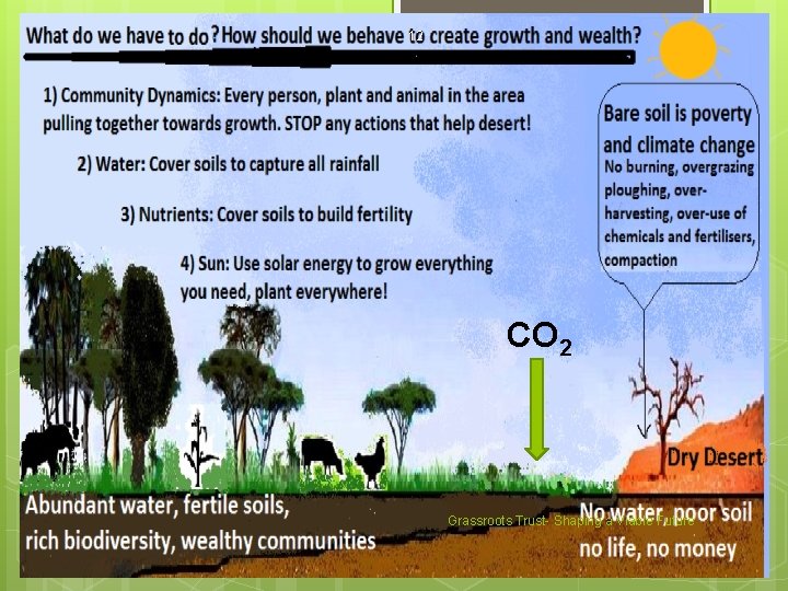 12 CO 2 Grassroots Trust- Shaping a Viable Future 