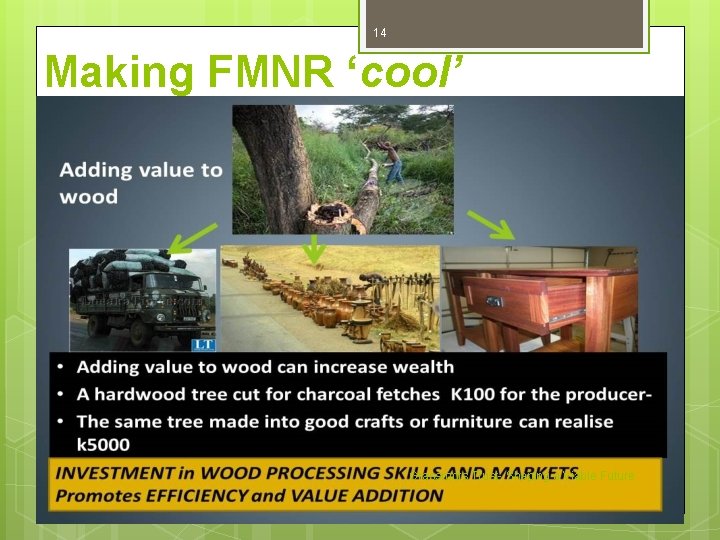 14 Making FMNR ‘cool’ Grassroots Trust- Shaping a Viable Future 