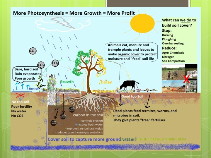 15 Grassroots Trust- Shaping a Viable Future 