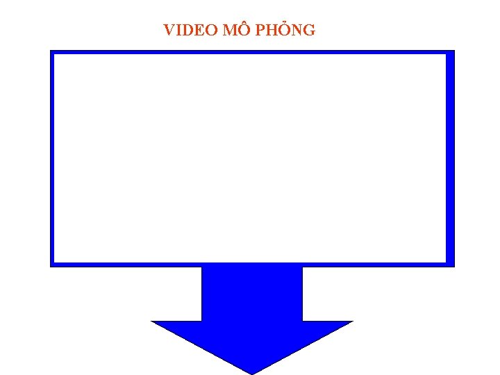 VIDEO MÔ PHỎNG 