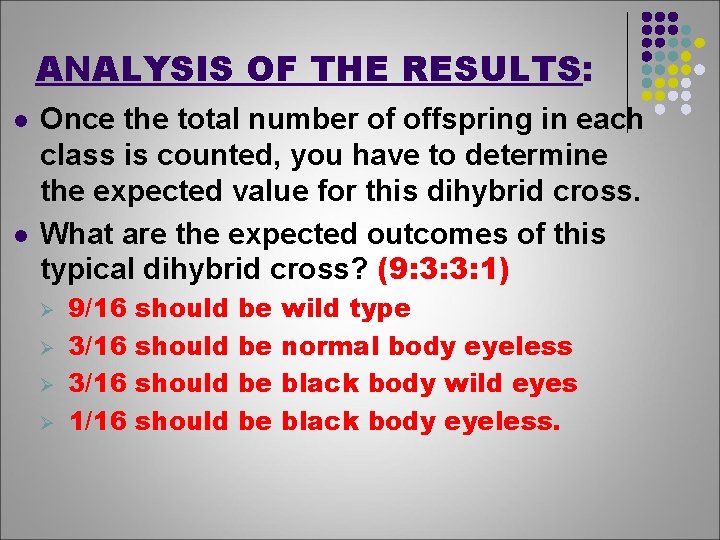 ANALYSIS OF THE RESULTS: l l Once the total number of offspring in each