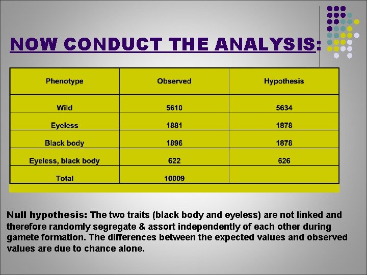 NOW CONDUCT THE ANALYSIS: Null hypothesis: The two traits (black body and eyeless) are