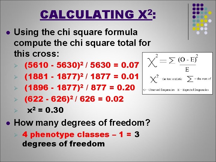 CALCULATING X 2: l Using the chi square formula compute the chi square total
