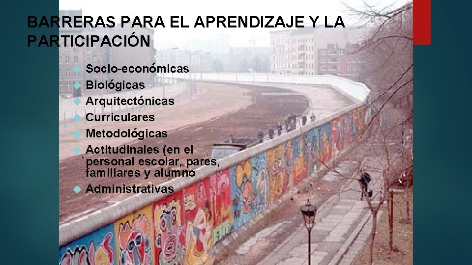BARRERAS PARA EL APRENDIZAJE Y LA PARTICIPACIÓN Socio-económicas Biológicas Arquitectónicas Curriculares Metodológicas Actitudinales (en