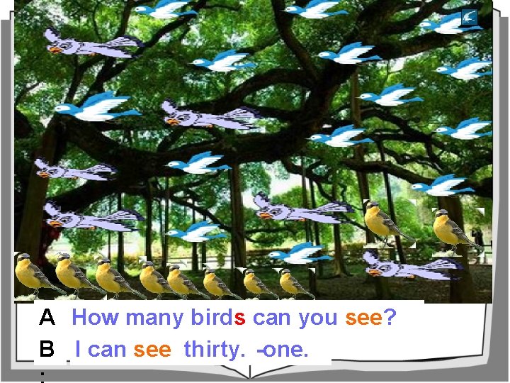 A How many birds can you see? : B I can see …. twenty-one.
