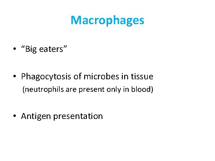 Macrophages • “Big eaters” • Phagocytosis of microbes in tissue (neutrophils are present only